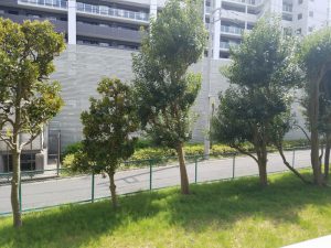 １階だけれでも少したかくなっているので歩行者の視線は気になりません