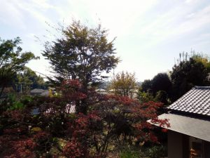 ２階洋室からの眺望。遮るものがありません。