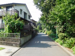 道路の反対側は木もれびの森のため緑豊かな住環境です。前面道路は公道４．５ｍ
